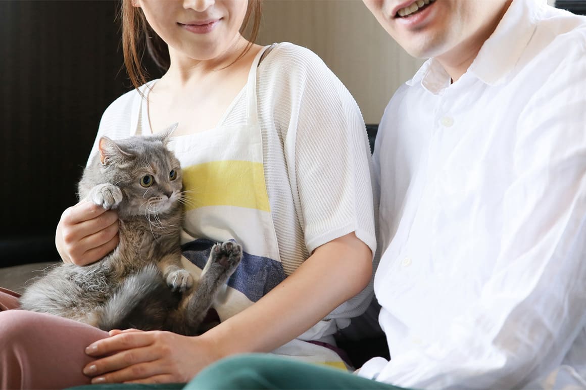 立会い個別火葬