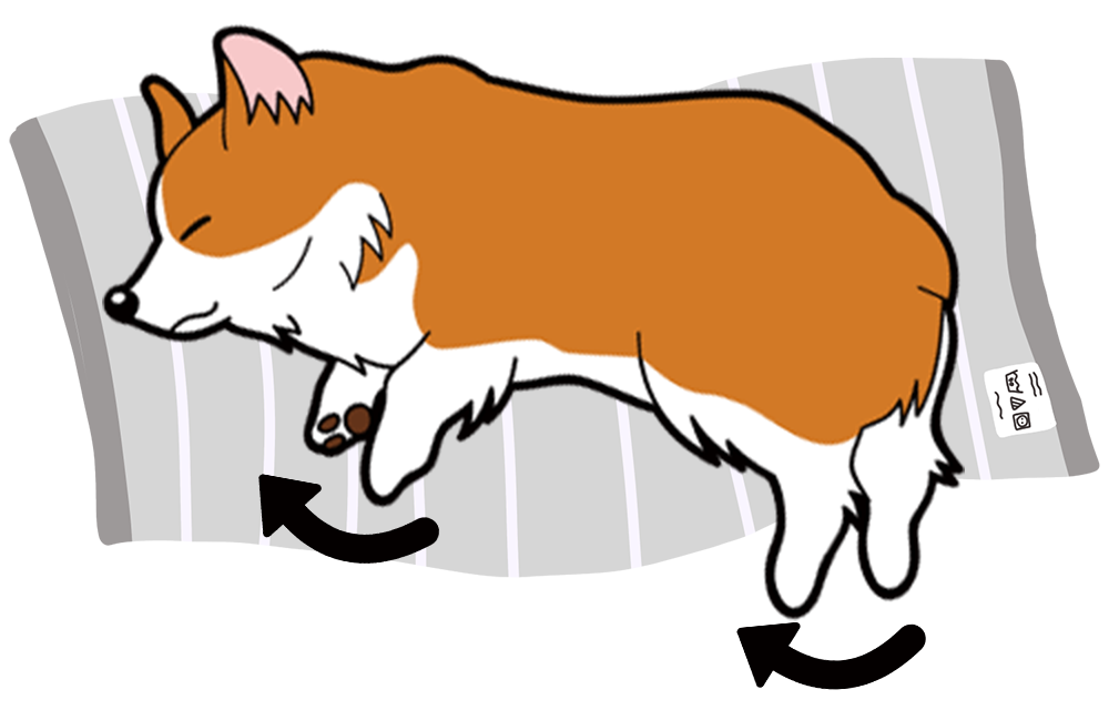 眠っているように姿勢を整える 