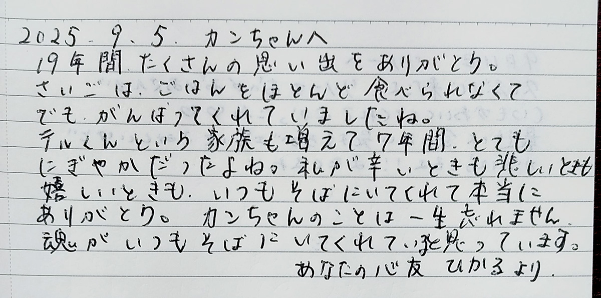 250905