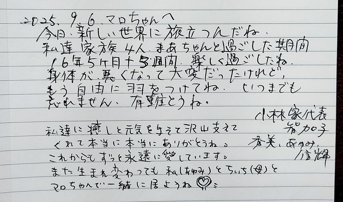 250906