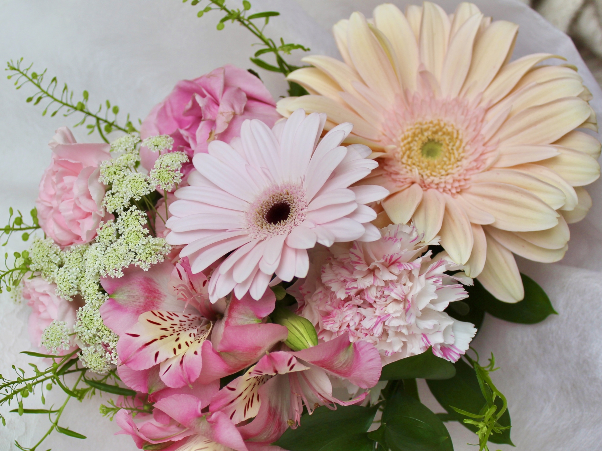 ペット火葬の棺に入れる花|選び方・安全性・おすすめの種類などを解説