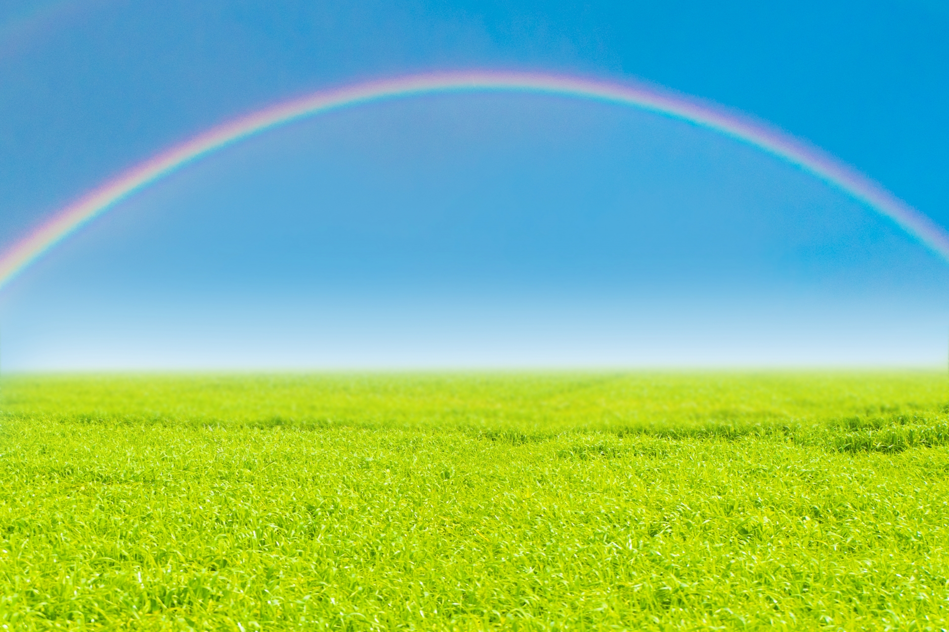 なぜ「棺に入れる花」が大切なのか