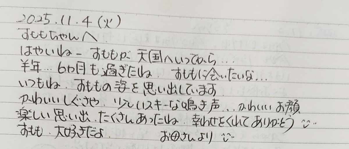 IMG_20251125_0810091