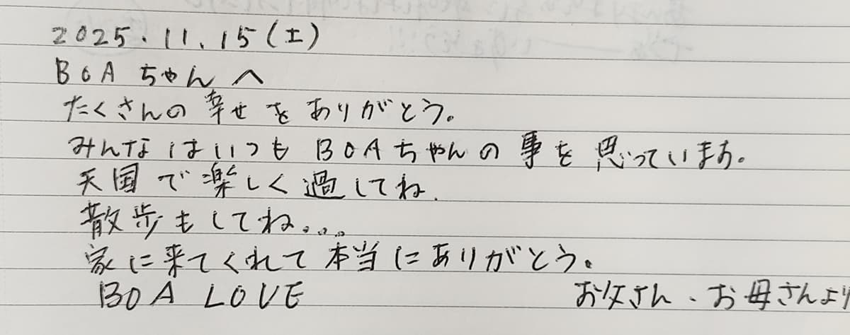 IMG_20251125_0810092