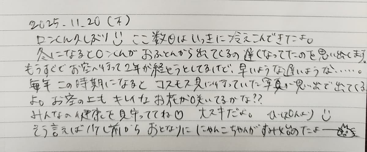 IMG_20251125_0810093